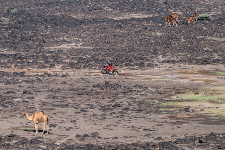 Benavides Dakar 2021 2