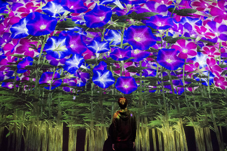 Spirits Of The Flowers July 5mb