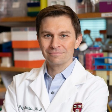 David Sinclair, uno de los mayores expertos en longevidad del mundo: "comer despacio y de forma moderada puede ser la clave para la longevidad”