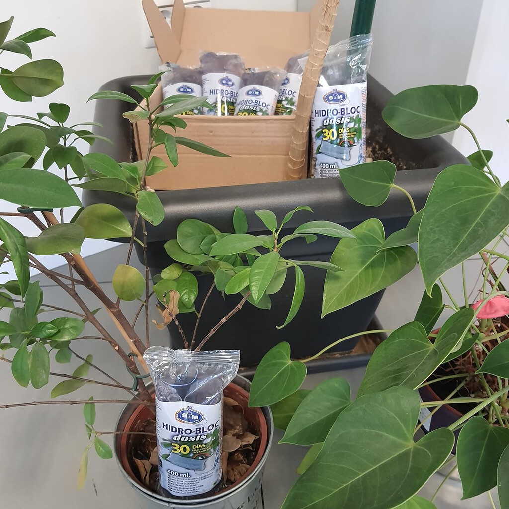 Las dos soluciones más inusuales de Leroy Merlin para regar las plantas cuando no estás en casa