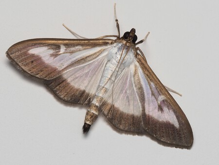 Pexels Ali Goode 2151511157 33955721