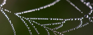 The Dark Web has been hacked, 20% of .onion websites fall in an act against child pornography