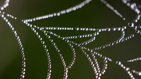 La Dark Web ha sido hackeada, caen el 20% de las webs .onion en un acto contra la pornografía infantil