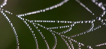 La Dark Web ha sido hackeada, caen el 20% de las webs .onion en un acto contra la pornografía infantil