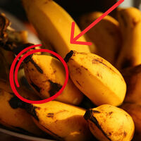 Por qué el plátano se pone negro al salir de la verdulería: así puedes lograr que dure más tiempo 