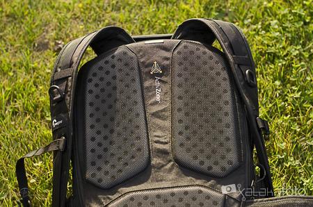Mochilas Con Refuerzo En La Espalda Online Sale, UP TO 65% OFF |  agrichembio.com