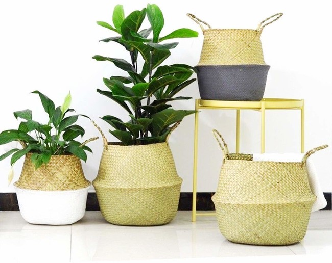 17 macetas ideales para decorar cualquier rincón de tu casa