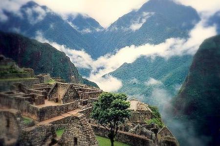 350741660_f02f1514e7.jpg