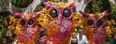 Qué encontrar en el Festival de Flores y Jardines (FYJA) Polanco este 2026, de fachadas en Masaryk a arreglos monumentales