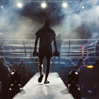 Japón cambia las normas del boxeo tras la muerte de dos púgiles en la misma velada, y creen que la culpa no fue de los puñetazos