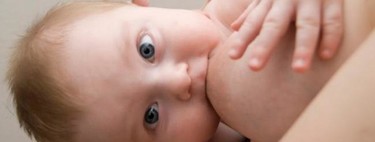 La leche materna contiene más de 200 moléculas de azúcares naturales diferentes
