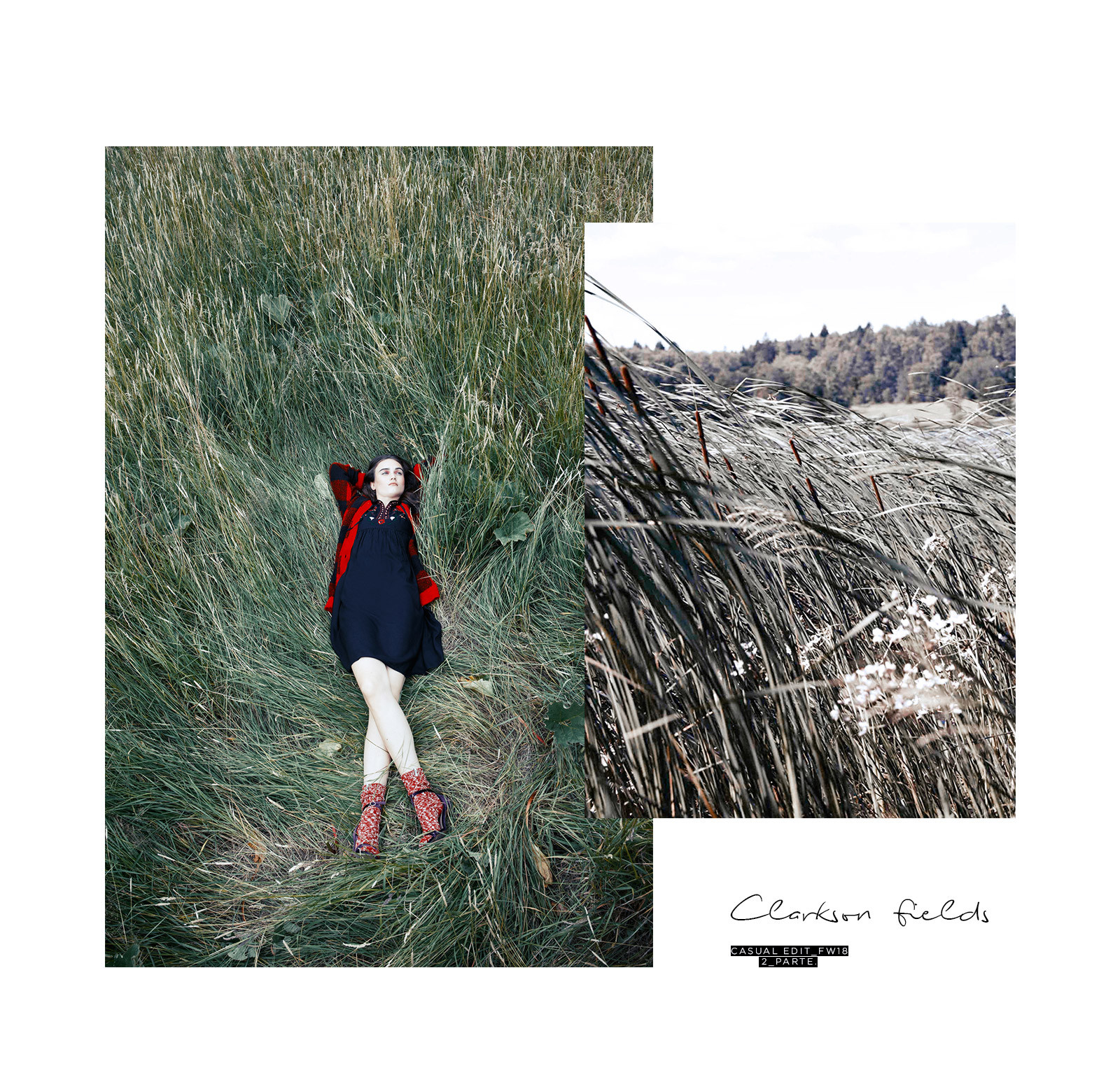 Foto de Sfera "Clarkson Fields" (7/8)