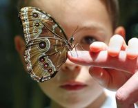 El autismo puede mejorar con cambios en la alimentación