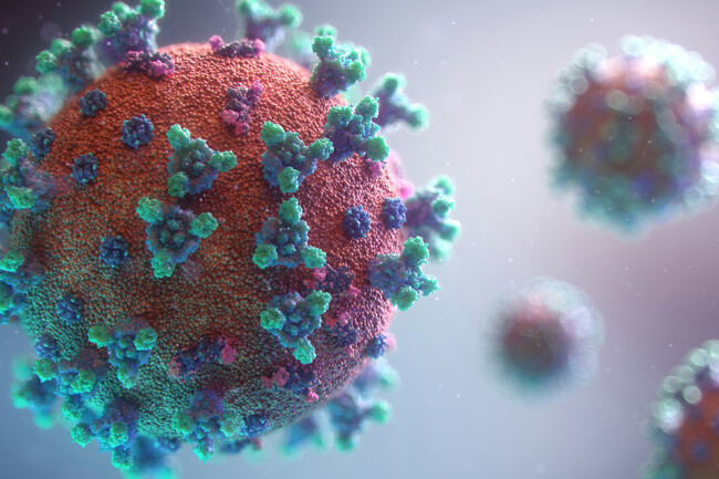 Virus Ia