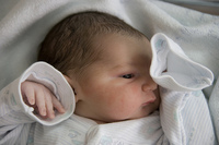 El frío reduce los daños cerebrales por falta de oxígeno al nacer