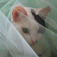 La responsabilidad de los socios en las deudas de una sociedad 