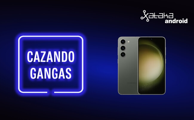 Cazando Gangas