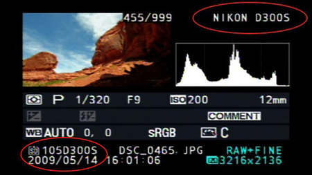 Rumor: Nueva Nikon D300s