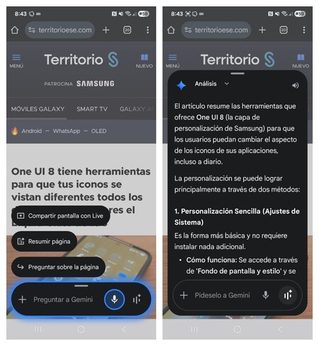 Gemini Resumir Paginas