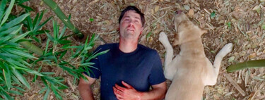 El final de esta serie fue frustrante para muchos, pero resulta que ver Perdidos en orden cronológico cambia por completo el significado de la serie