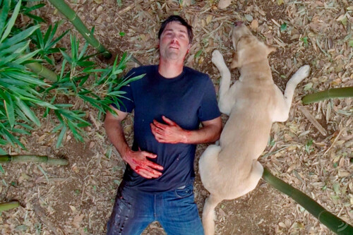 El final de esta serie fue frustrante para muchos, pero resulta que ver Perdidos en orden cronológico cambia por completo el significado de la serie