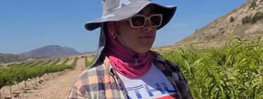 Luisa trabaja de agricultora en Jumilla: "Es mejor vivir aquí. Un piso de 4 habitaciones vale 450 euros" 