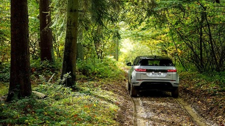 Range Rover Evoque 2019 1118 010