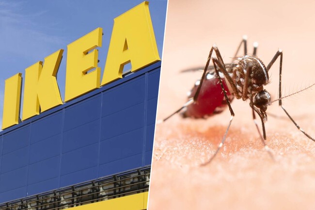 Ikea 13