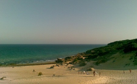playabolonia