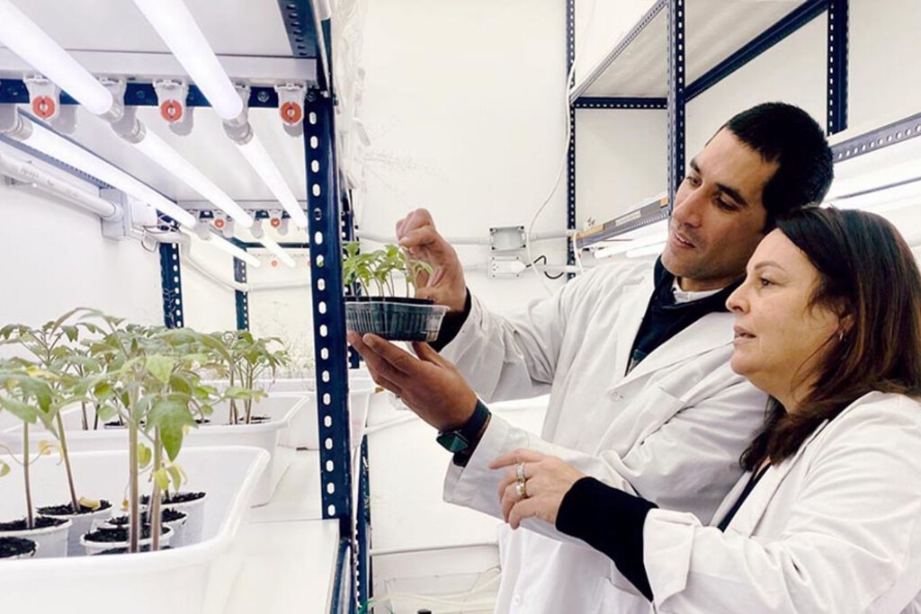 Son residuos industriales, pero serán mucho más: el CONICET producirá una cerveza fortificada beneficiosa para la salud y el medio ambiente 