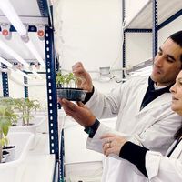 Son residuos industriales, pero serán mucho más: el CONICET producirá una cerveza fortificada beneficiosa para la salud y el medio ambiente 