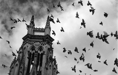 PallantiaPhoto 2018, el Festival de fotografía de Palencia, prepara un “salto de calidad” para su quinta edición