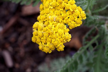 Pexels Alexaheinrich 34494860