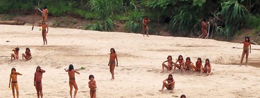 Estamos consumindo tanta madeira que a maior tribo isolada do planeta está a um passo de viver numa cidade