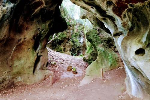 Cuevas Andia