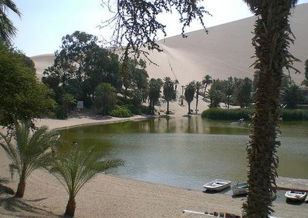 Oasis en el desierto