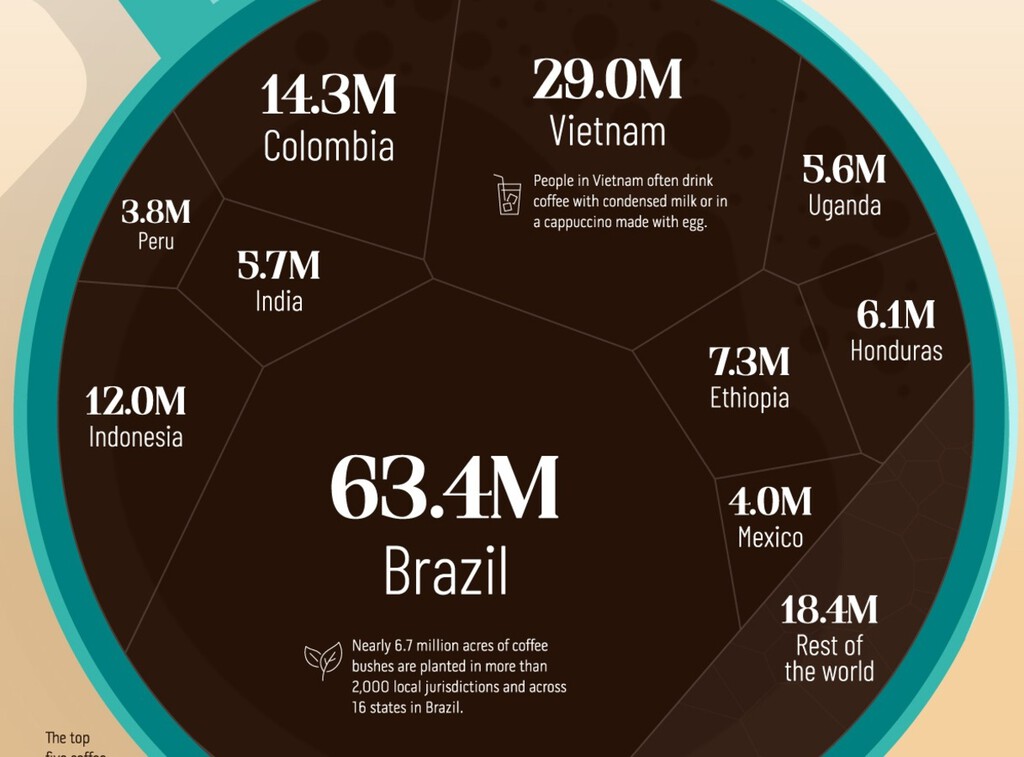 Los principales países productores de café del mundo, en este llamativo gráfico 