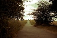 El camino hasta disponer de un departamento de marketing