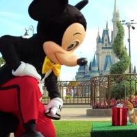 Así de bien se lo pasó un hamster visitando Disney World