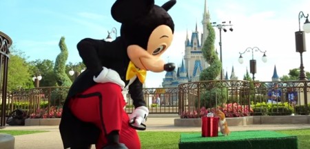 Así de bien se lo pasó un hamster visitando Disney World