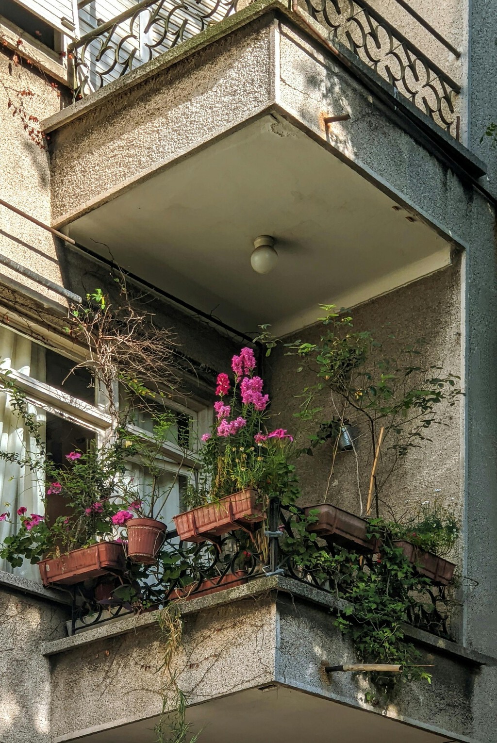 Quiero poner macetas en mi balcón y los vecinos se niegan. Voy a ganarles la partida con la LPH y los estatutos 