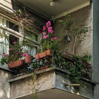 Quiero poner macetas en mi balcón y los vecinos se niegan. Voy a ganarles la partida con la LPH y los estatutos 