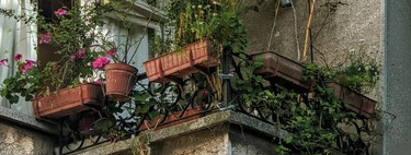 Quiero poner macetas en mi balcón y los vecinos se niegan. Voy a ganarles la partida con la LPH y los estatutos 