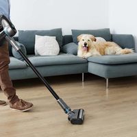 Aspirador sin cables Conga Rockstar 500 Ultimate a su precio mínimo en el Black Friday: 169 euros y envío gratis