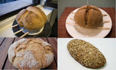 Adivina, adivinanza: ¿Qué tipo de pan contiene más proteínas?