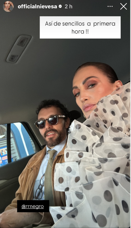 Nieves alvarez