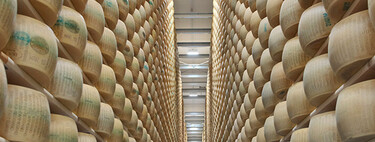 El banco del queso parmesano no entiende de tipos de interés, entiende de cambio climático: las altas temperaturas ya afectan a su conservación… y al ganado 