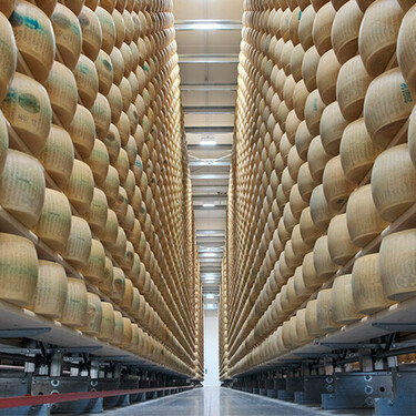 El banco del queso parmesano no entiende de tipos de interés, entiende de cambio climático: las altas temperaturas ya afectan a su conservación… y al ganado 