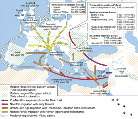 Mapa de la expansión del gato domestico por Europa y Oriente Próximo