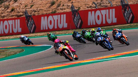 Lehmann Aragon Ssp300 2022